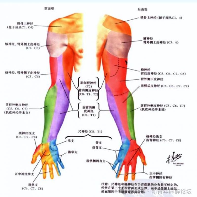 麻醉三分钟 | 腋路臂丛神经阻滞学习的心路历程